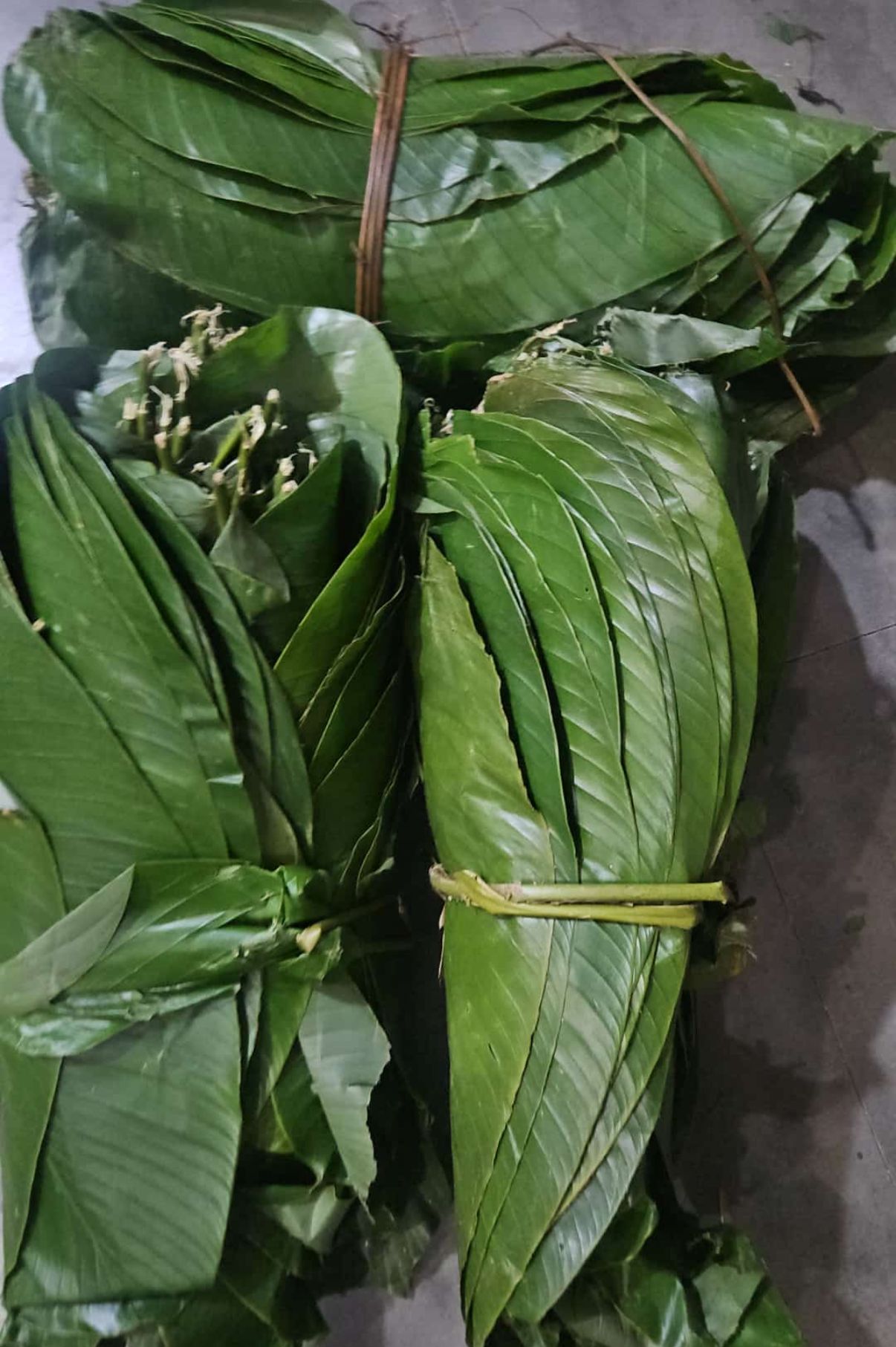 WhatsApp Image 2025-11-08 at 11.49.04_ff4848f6