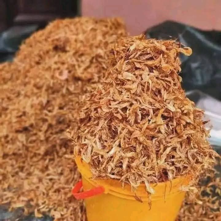 WhatsApp Image 2025-11-10 at 17.28.53_4ae9ec74