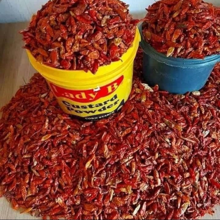 WhatsApp Image 2025-11-10 at 17.45.58_8ccfe3bd