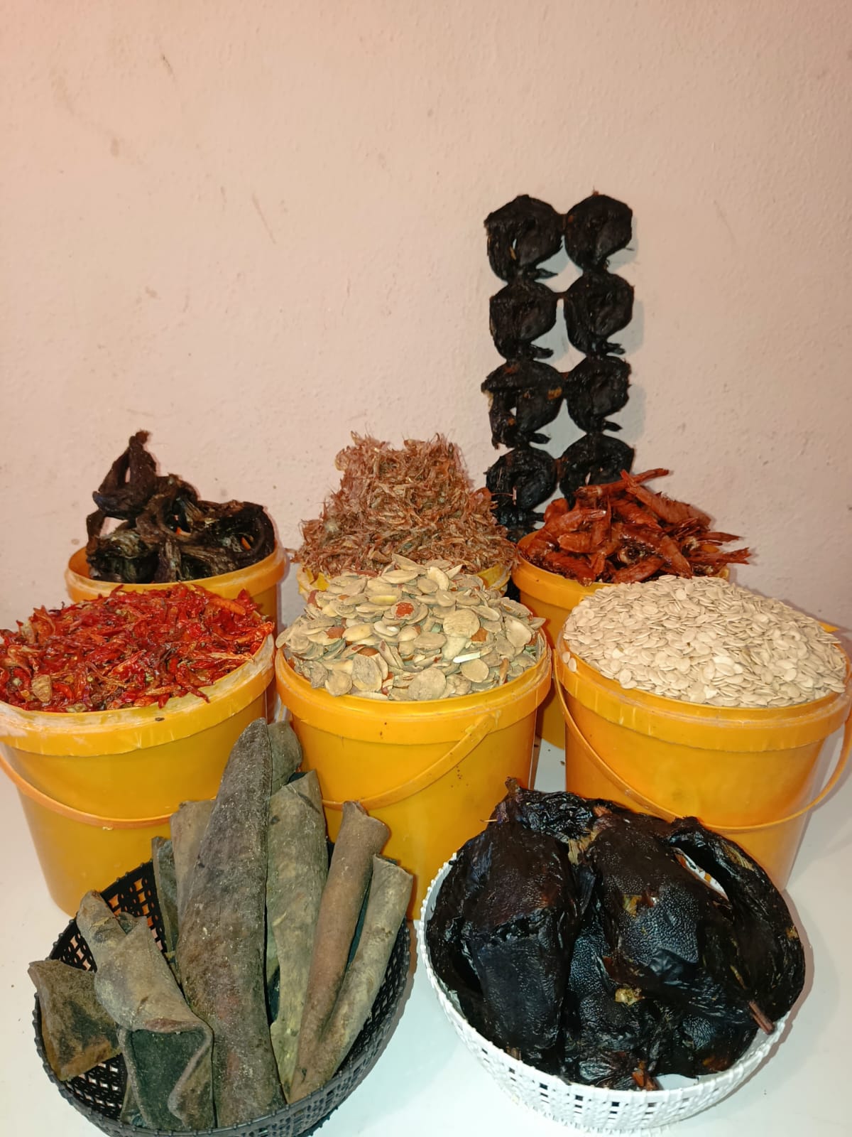 WhatsApp Image 2025-11-27 at 15.30.39_bdd4e98a